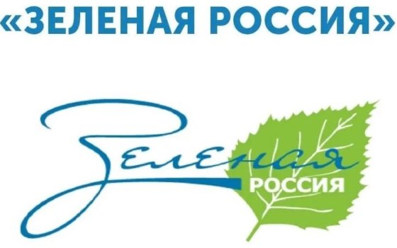 Экологический субботник «Зеленая Россия»